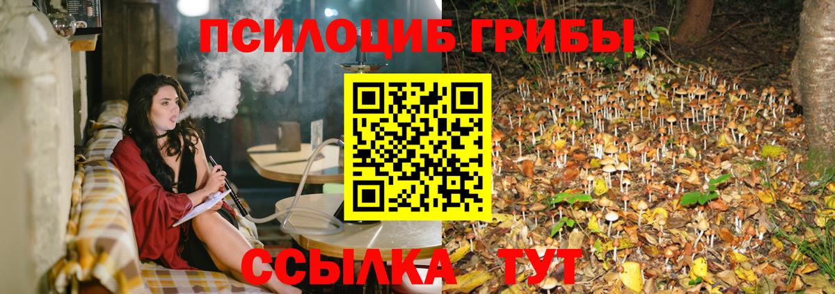 Ейск  Галлюциногенные грибы мицелий  Вход с VPN 